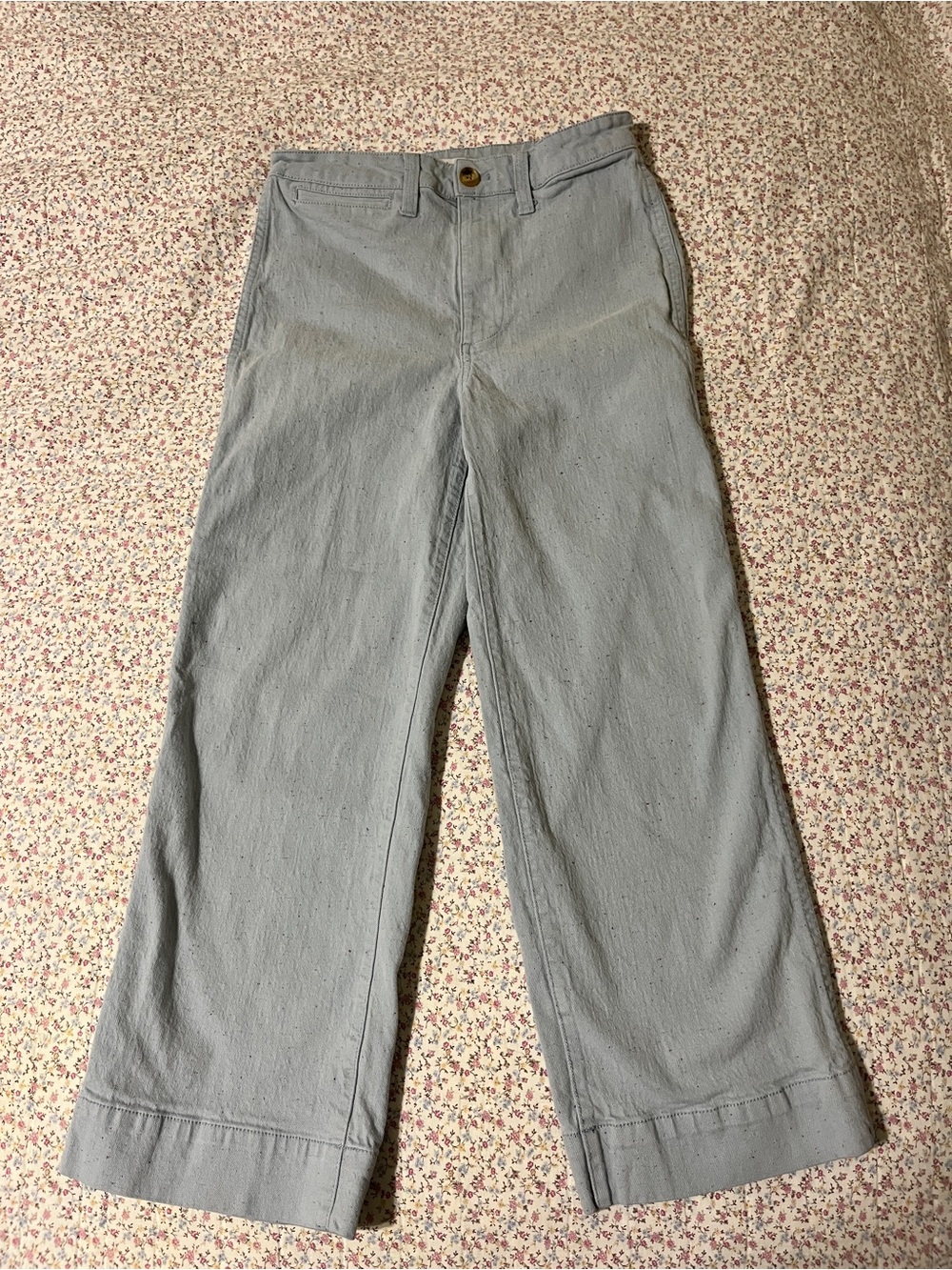 Madewell Women’s Light Blue Wide-Leg capri Bottoms. Size 25